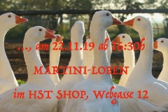 Martiniloben-2019-3